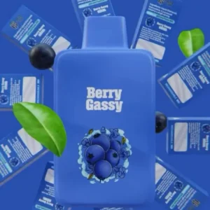 Green Team Berry Gassy Disposable vape